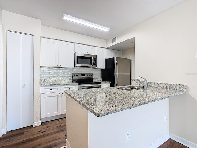 kitchen featuring a sink, stainless steel appliances, a peninsula, and dark wood finished floors