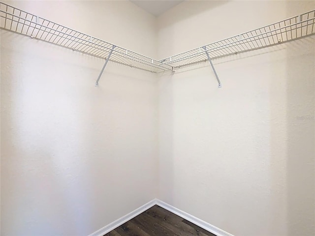 walk in closet featuring dark wood finished floors