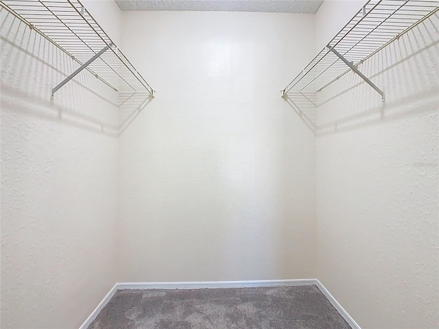 walk in closet featuring carpet