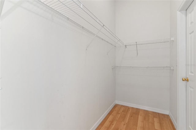 walk in closet with light wood-style floors