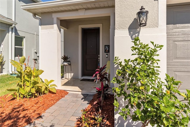 view of exterior entry featuring stucco siding