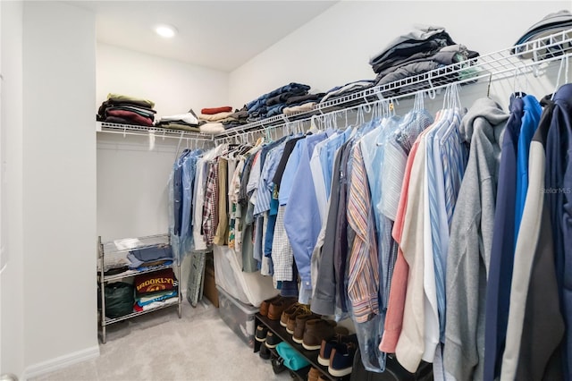 spacious closet with carpet