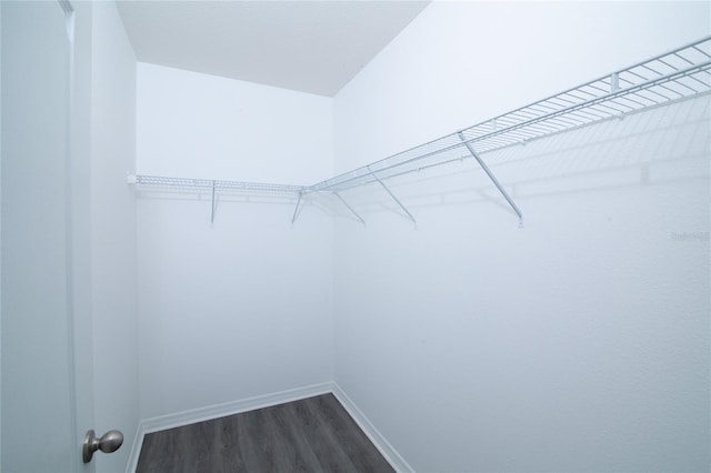 spacious closet featuring dark wood-type flooring