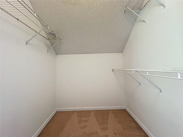 spacious closet with carpet flooring