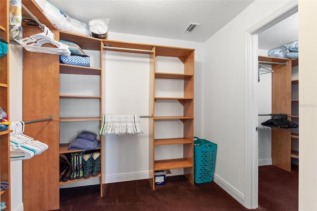 spacious closet with carpet floors