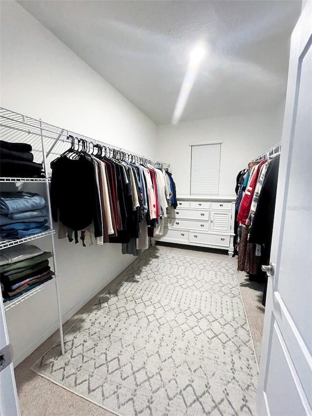 walk in closet with carpet flooring