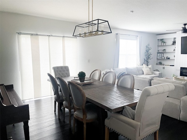 dining area featuring dark wood-type flooring