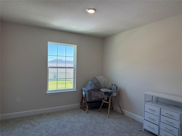 interior space with baseboards, carpet, and a textured ceiling