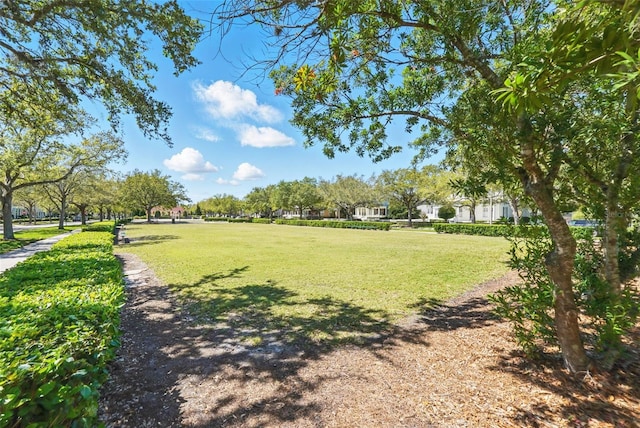 surrounding community featuring a lawn