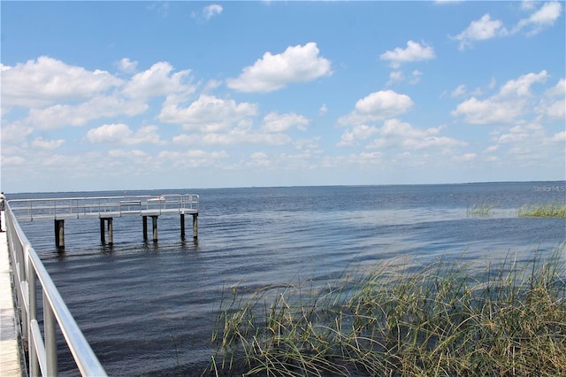 dock area with a water view