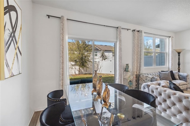 dining space with baseboards and wood finished floors