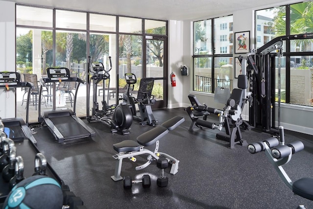 exercise room with a healthy amount of sunlight, baseboards, and expansive windows