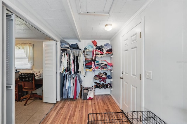 walk in closet with light wood-style floors