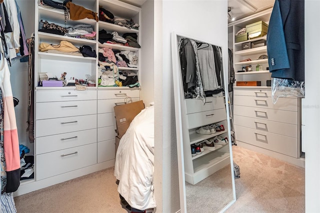 spacious closet with carpet floors