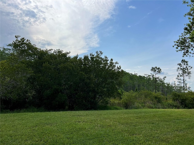 619 Tapatio Ln, Kissimmee, FL 34759 - photo 49