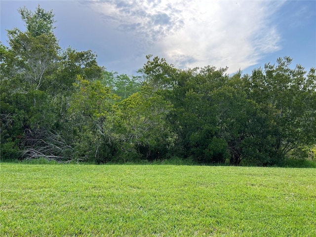 619 Tapatio Ln, Kissimmee, FL 34759 - photo 50