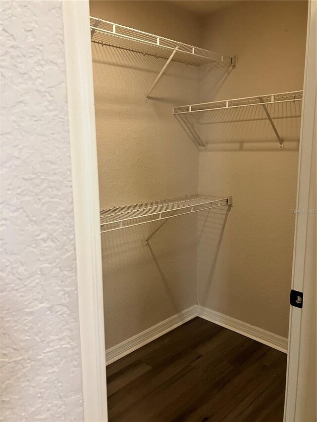 911 N Orange Ave Unit 142, Orlando, FL 32801 - walk in closet featuring dark wood finished floors