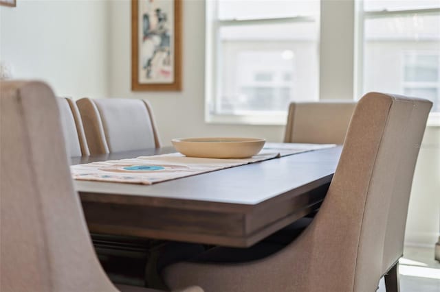 dining area with a wealth of natural light