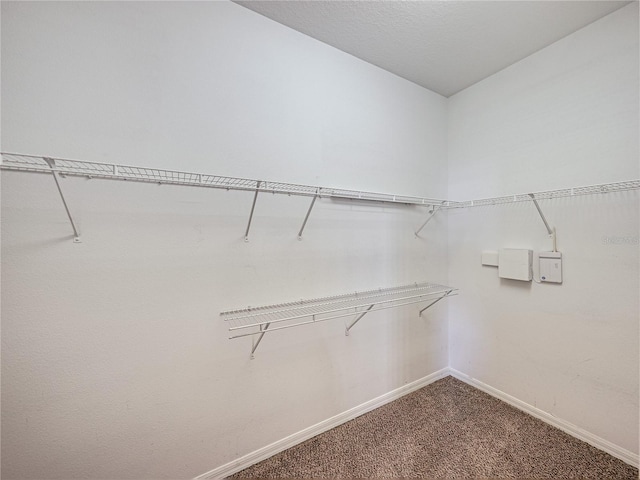 spacious closet featuring dark carpet