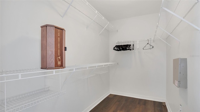 spacious closet with dark wood-style floors