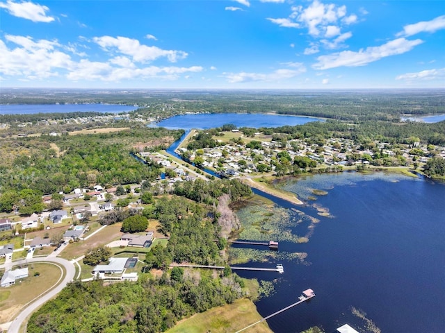 aerial perspective of suburban area with a large body of water and a forest