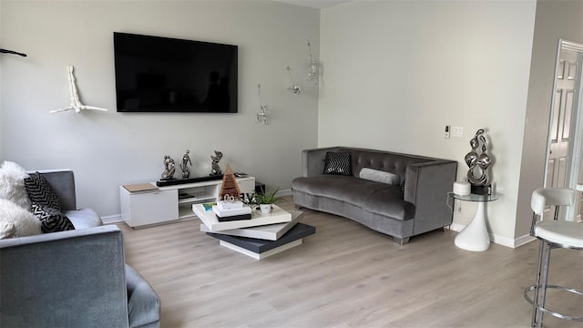 10197 Ridgebloom Ave, Orlando, FL 32829 - living room with light wood-style flooring and baseboards