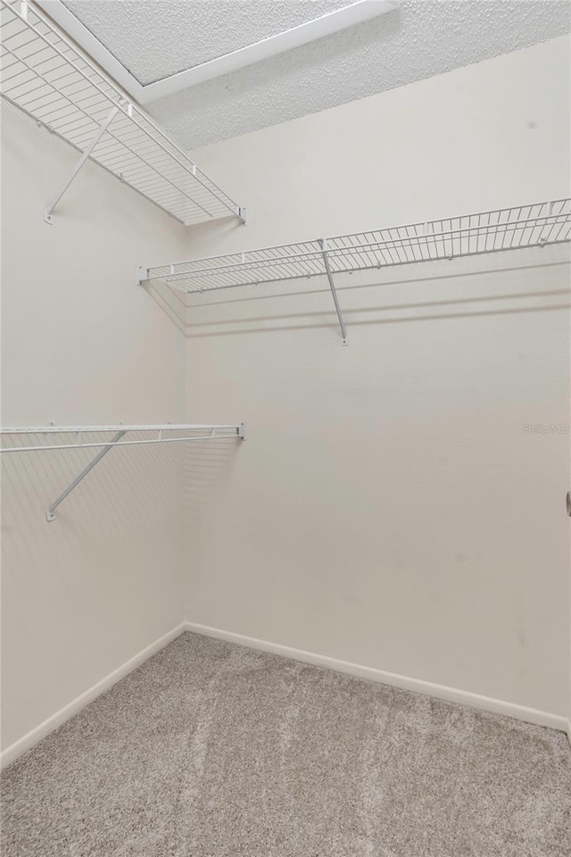 2435 King Oak Ln, Saint Cloud, FL 34769 - spacious closet featuring carpet