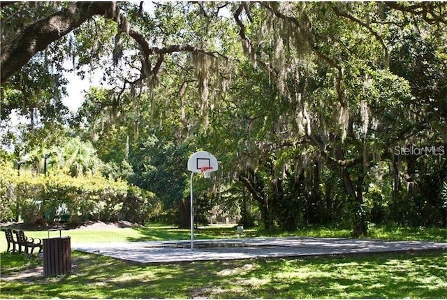2921 Puerta Del Sol Blvd, Kissimmee, FL 34744 - view of basketball court with a yard and community basketball court