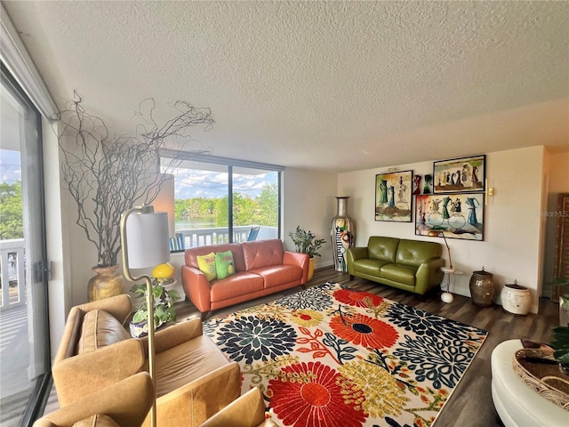 living room featuring a textured ceiling and wood finished floors