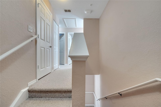 4561 Yellowgold Rd E Unit 107, Kissimmee, FL 34746 - stairway featuring baseboards, visible vents, carpet, and a textured wall