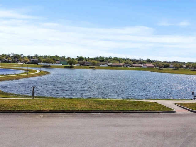 7733 Beridale Ct, Orlando, FL 32818 - view of water feature