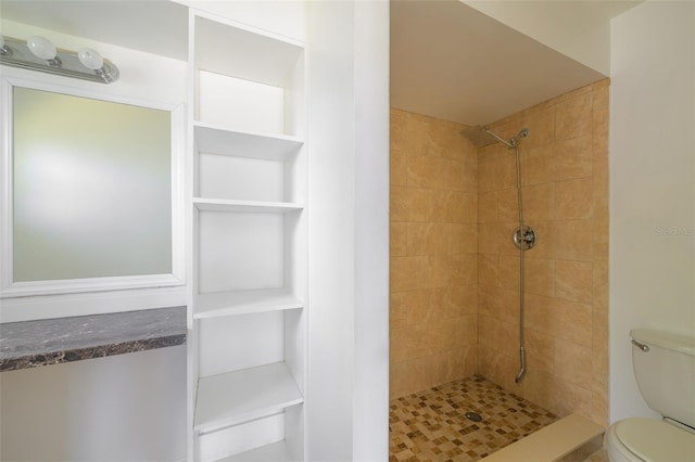 554 NW Twylite Ter, Port St Lucie, FL 34983 - bathroom with a tile shower and toilet