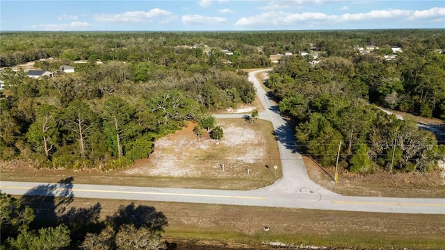 1202 Vernon Way, Kissimmee, FL 34759 - photo 1