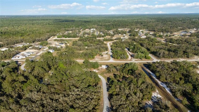 1202 Vernon Way, Kissimmee, FL 34759 - photo 14