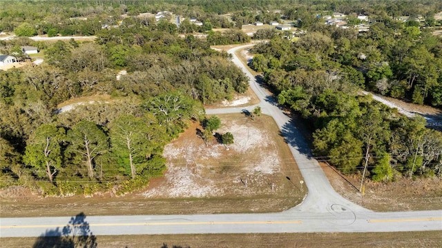 1202 Vernon Way, Kissimmee, FL 34759 - photo 6