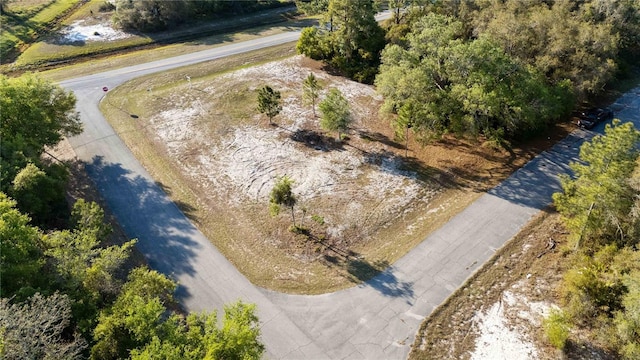1202 Vernon Way, Kissimmee, FL 34759 - photo 2