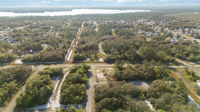 1202 Vernon Way, Kissimmee, FL 34759 - photo 10