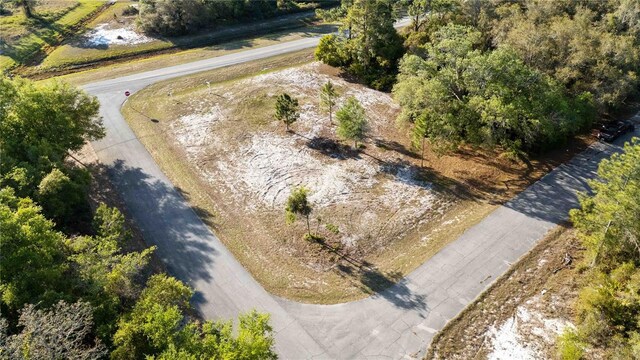 1202 Vernon Way, Kissimmee, FL 34759 - photo 3