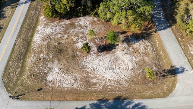 1202 Vernon Way, Kissimmee, FL 34759 - photo 4