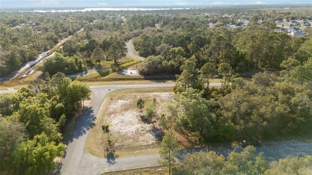 1202 Vernon Way, Kissimmee, FL 34759 - photo 9