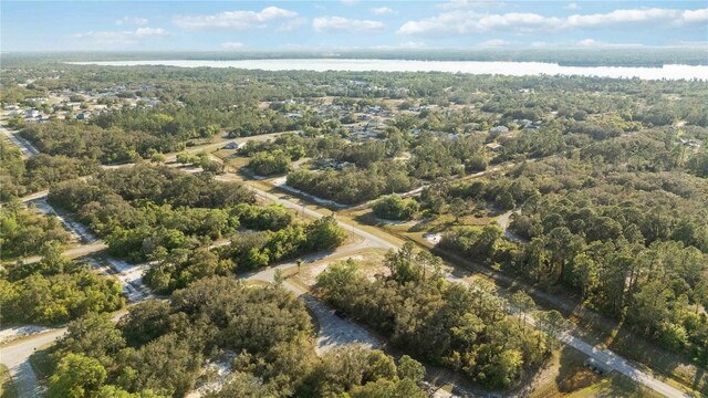 1202 Vernon Way, Kissimmee, FL 34759 - photo 11
