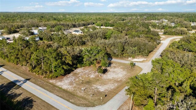 1202 Vernon Way, Kissimmee, FL 34759 - photo 12