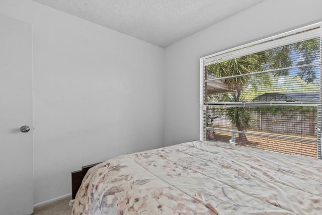 1345 Tindaro Dr, Apopka, FL 32703 - carpeted bedroom with a textured ceiling