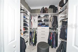 1237 Tallow Rd Unit 1237, Apopka, FL 32703 - view of walk in closet