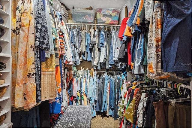 walk in closet with carpet floors