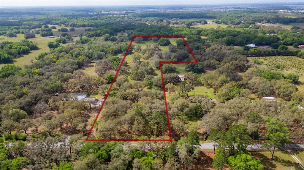 0 Lake Ella Rd, Fruitland Park, FL 34731 - photo 3