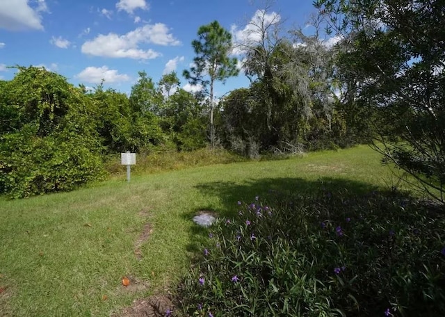 510 Captiva Dr, Davenport, FL 33896 - view of yard