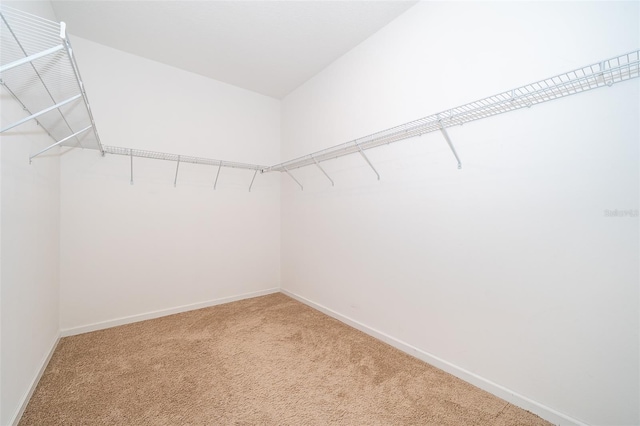 spacious closet featuring light carpet