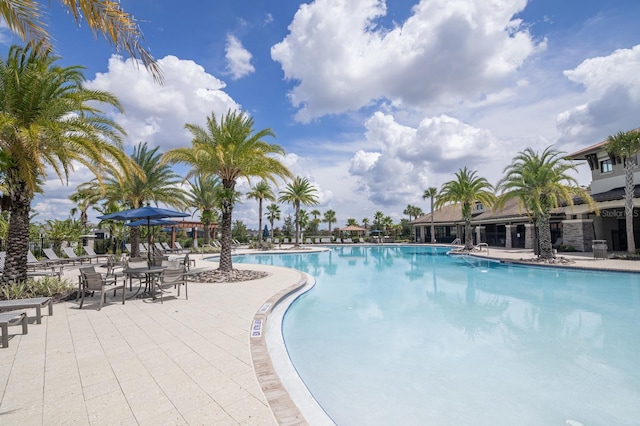 2566 Trielle Ave, Kissimmee, FL 34741 - community pool featuring a patio