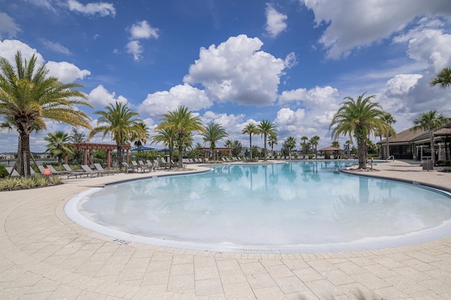 2566 Trielle Ave, Kissimmee, FL 34741 - community pool with a pergola and a patio